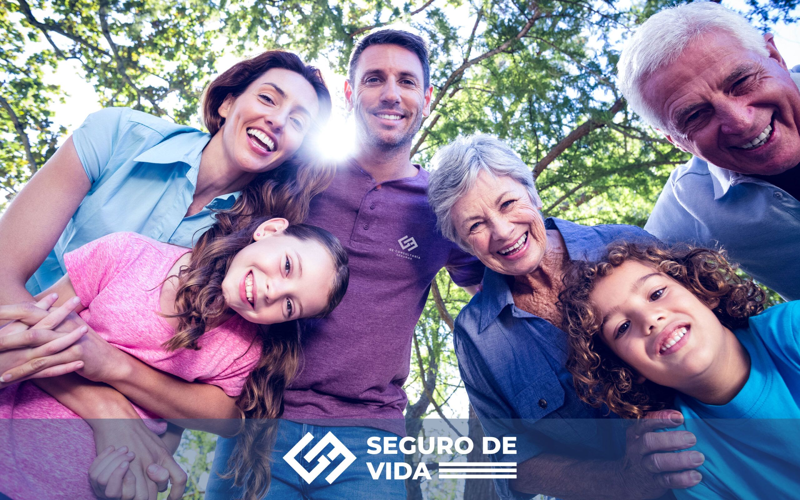 Ge Consultoría - Seguro de Vida