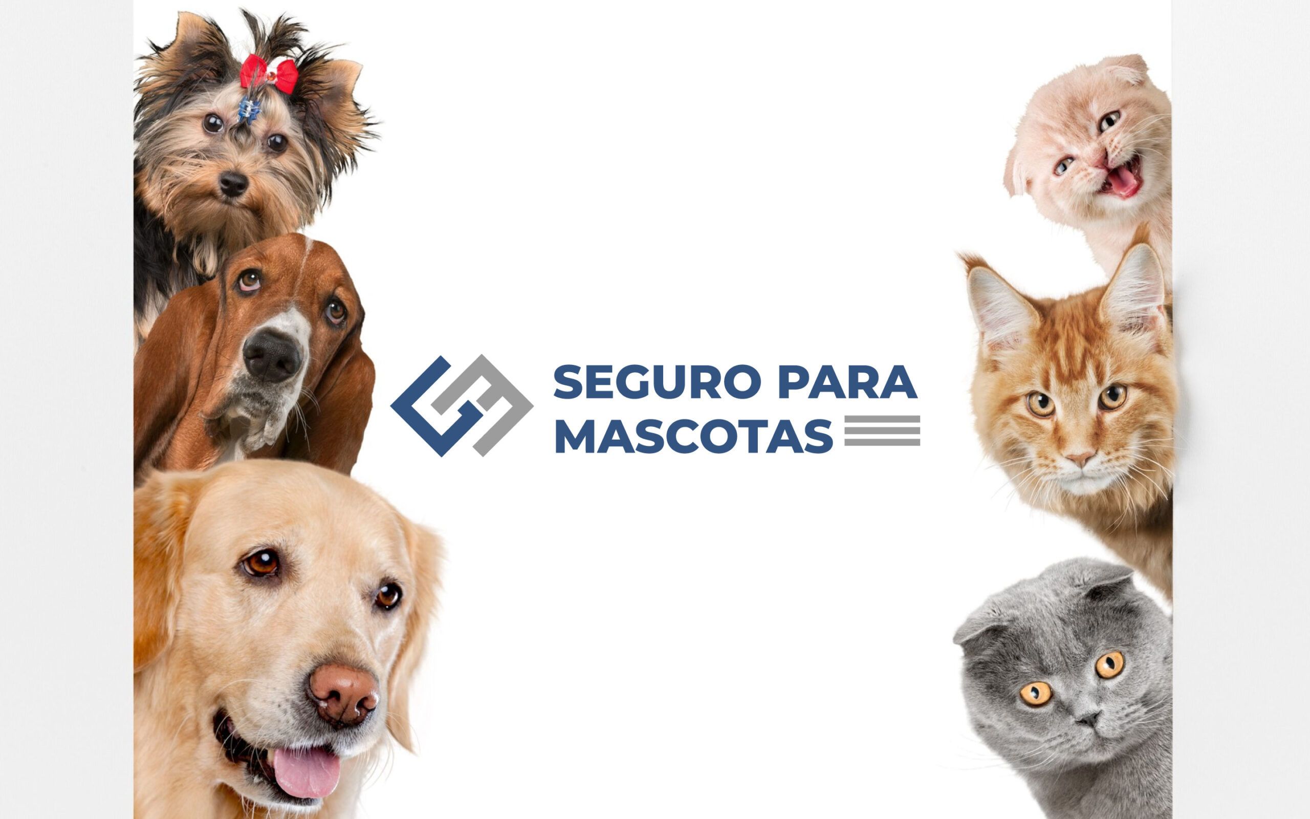 Ge Consultoría - Seguro de Mascotas
